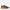 HOGAN- Sneaker Beige Geel
