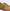 TOD'S beige, bruin sneackers