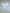 FAY - Polo - Licht Blauw